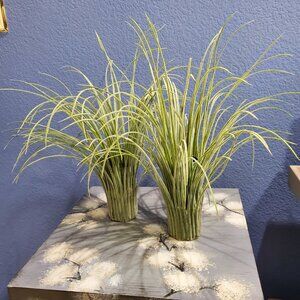 Artificial Grass Vases, Set of Two, Rare Vintage